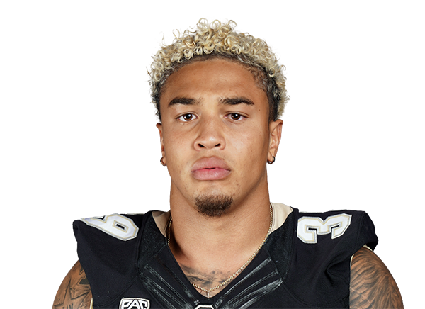 Robert Barnes, Colorado Buffaloes LB