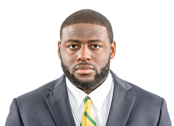 Chidi Ogbonnaya, Baylor Bears DL