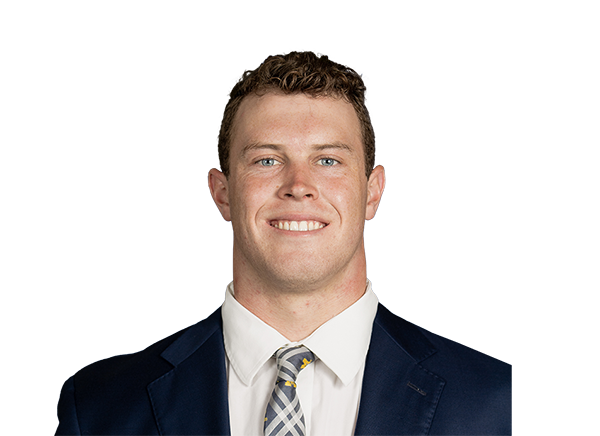 Luke Schoonmaker, Michigan Wolverines TE