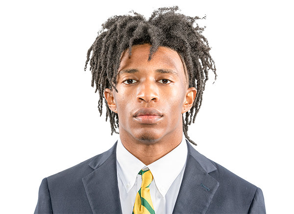 Craig Williams, Baylor Bears RB