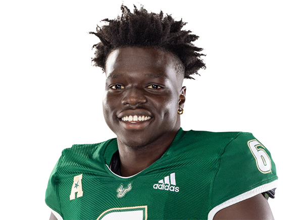 Ajou Ajou, South Florida Bulls WR