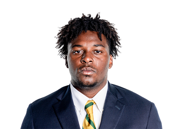 Gabe Hall, Baylor Bears DL