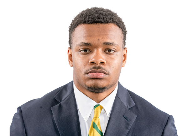 Taye Mcwilliams, Baylor Bears RB