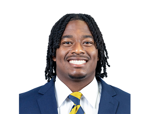 Jerry Johnson III, Rice Owls TE