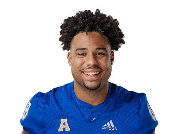 Bayne Tryon, Tulsa Golden Hurricane TE