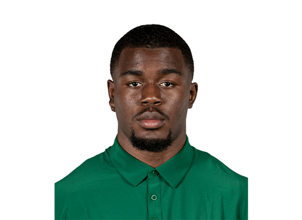TJ Robinson, South Florida Bulls DB