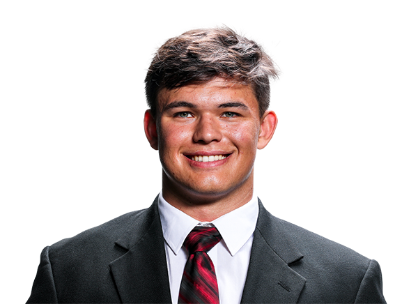 Aaron Steinfeldt, Indiana Hoosiers TE