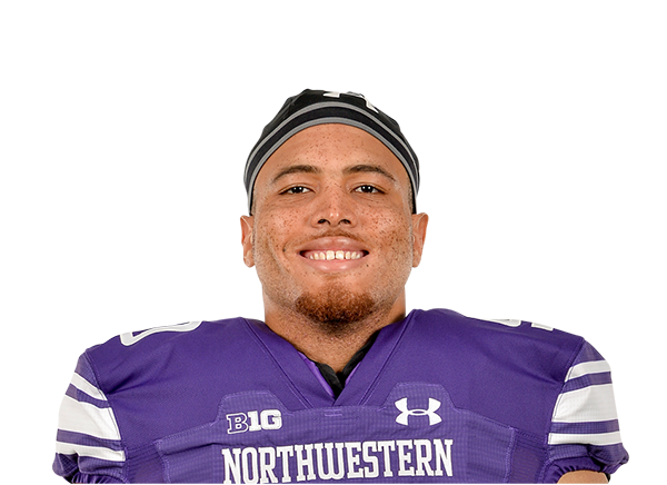 Taishan Holmes, Northwestern Wildcats DL