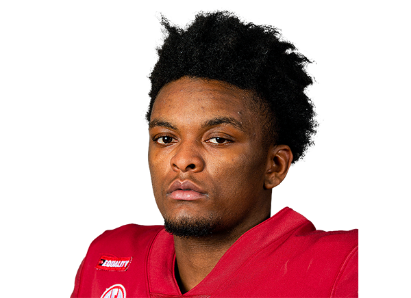 Quincey McAdoo, Arkansas Razorbacks DB