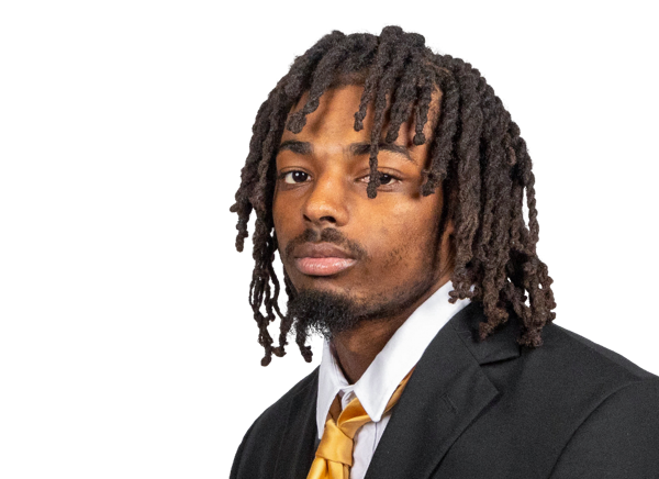 William Fowles, Louisville Cardinals WR